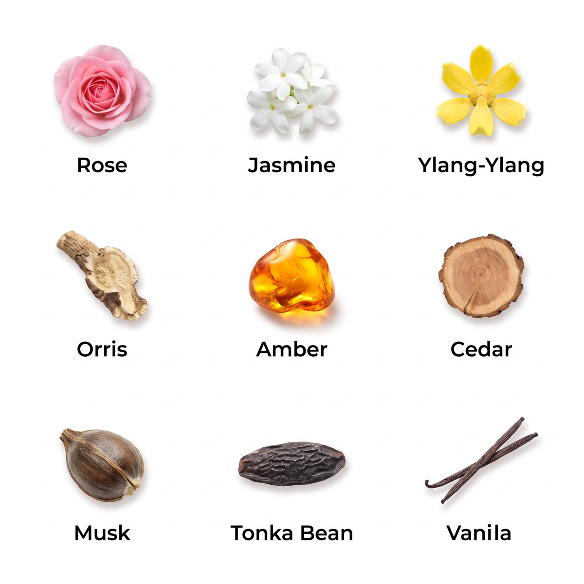 CLOUD MUSK